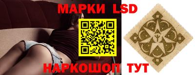 стафф Заводоуковск