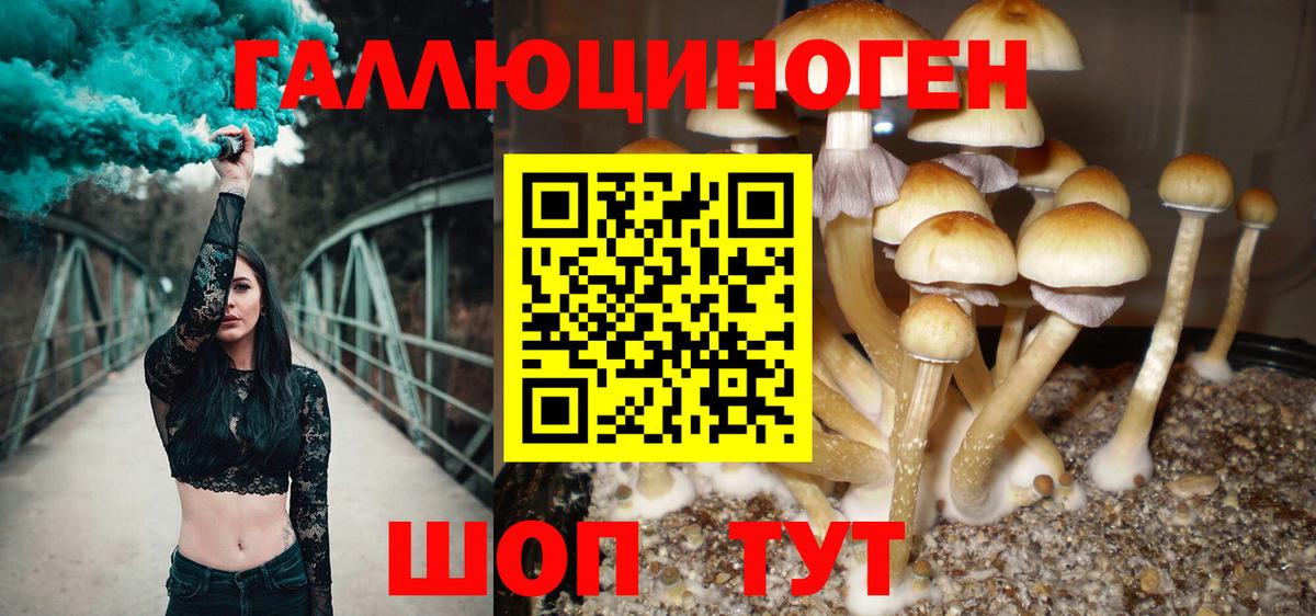 Псилоцибиновые грибы MAGIC MUSHROOMS  Вход с VPN  Псилоцибиновые грибы Magic Shrooms  Люберцы 